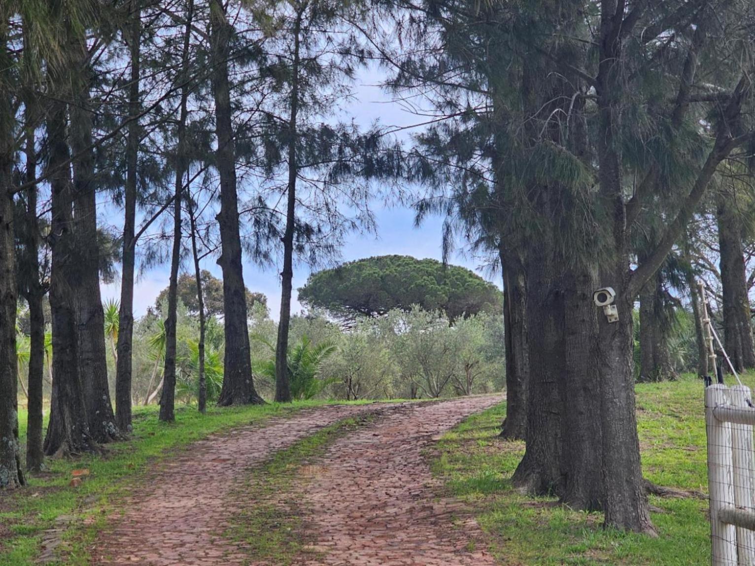 Belcharto Accommodation Στέλενμπος Εξωτερικό φωτογραφία