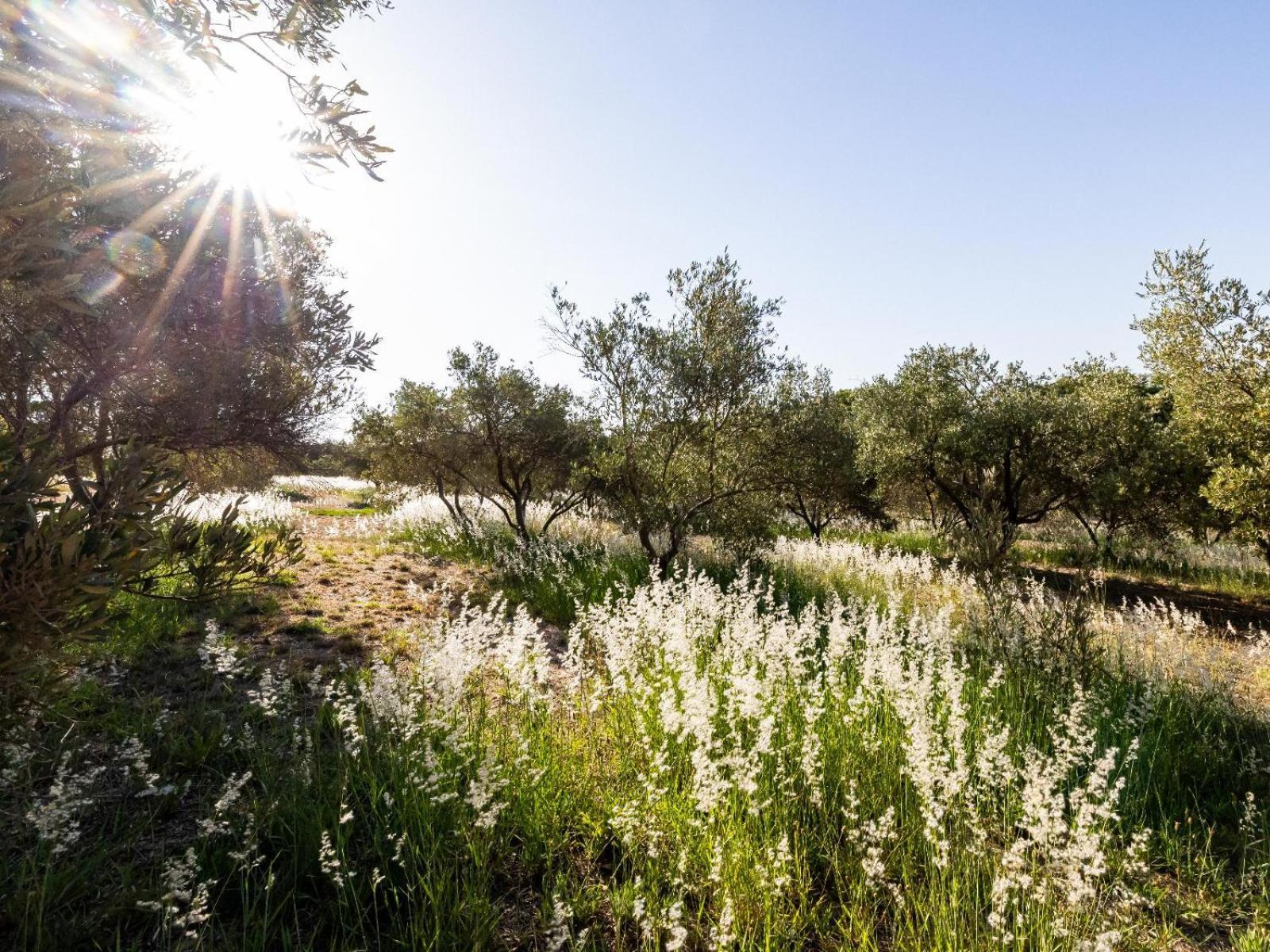 Belcharto Accommodation Στέλενμπος Εξωτερικό φωτογραφία